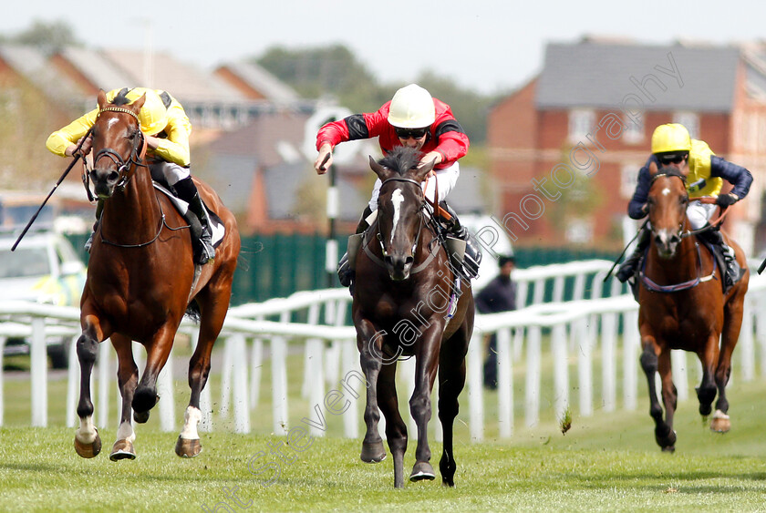 Boerhan-and-Sheila s-Showcase-0001 
 BOERHAN (left, James Doyle) dead-heats with SHEILA'S SHOWCASE (centre, Charles Bishop) in The Don Deadman Memorial EBF Maiden Stakes Div2
Newbury 17 Aug 2018 - Pic Steven Cargill / Racingfotos.com