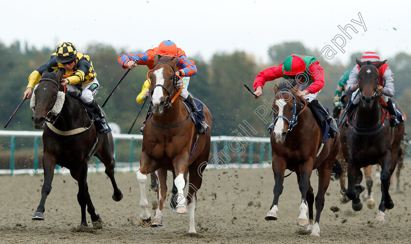 Prominna-0004 
 PROMINNA (centre, Luke Morris) beats MERCERS (left) and ROY'S LEGACY (right) in The 188bet Casino Handicap
Lingfield 4 Oct 2018 - Pic Steven Cargill / Racingfotos.com