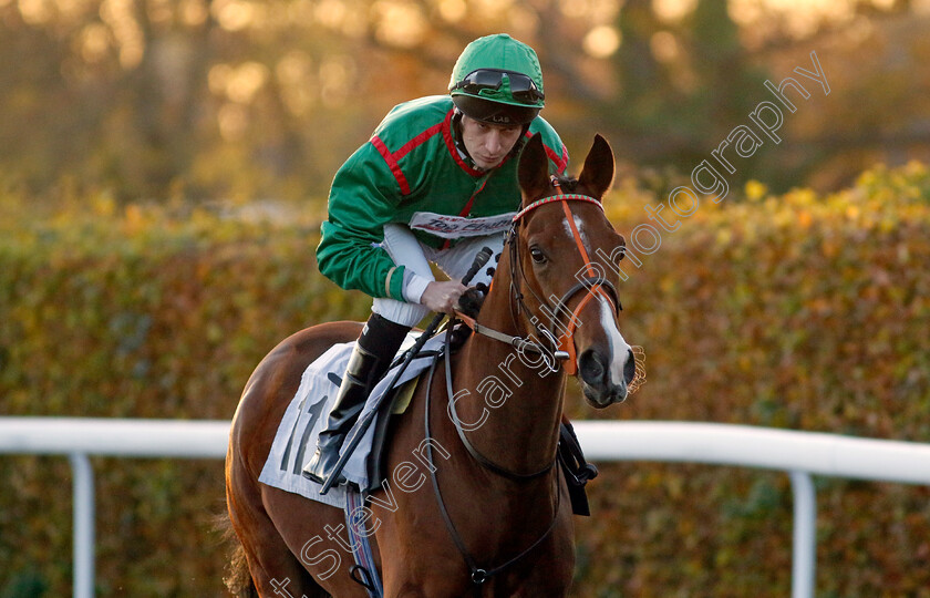 Top-Flight-Century-0001 
 TOP CENTURY FLIGHT (Luke Morris)
Kempton 15 Nov 2023 - Pic Steven Cargill / Racingfotos.com