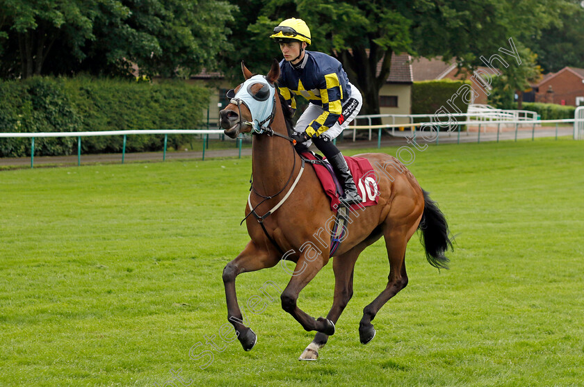 Hello-Cotai-0001 
 HELLO COTAI (Sean Kirrane) 
Haydock 24 May 2024 - Pic Steven cargill / Racingfotos.com