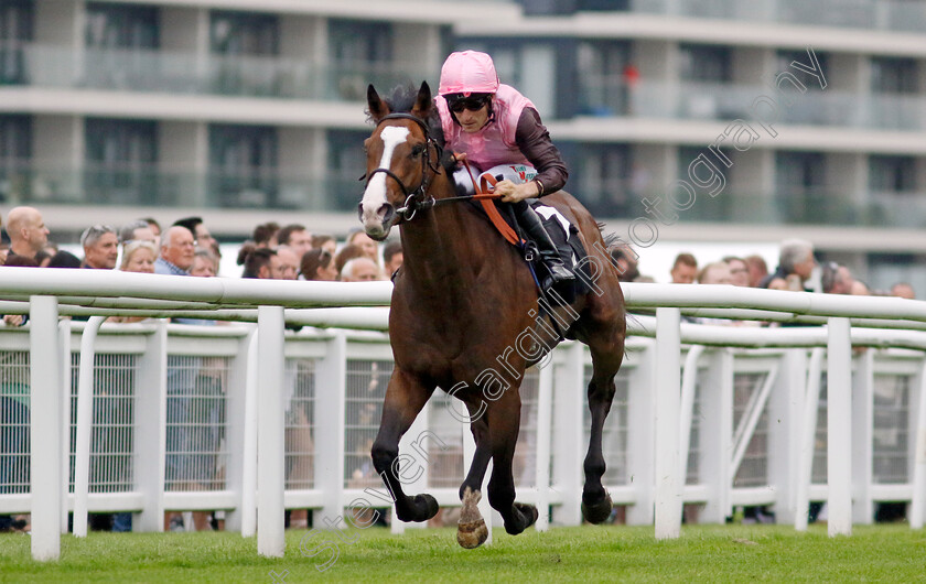 Cinnodin-0004 
 CINNODIN (Finley Marsh) wins The Bob Barker Memorial Handicap
Newbury 27 Jul 2023 - Pic Steven Cargill / Racingfotos.com