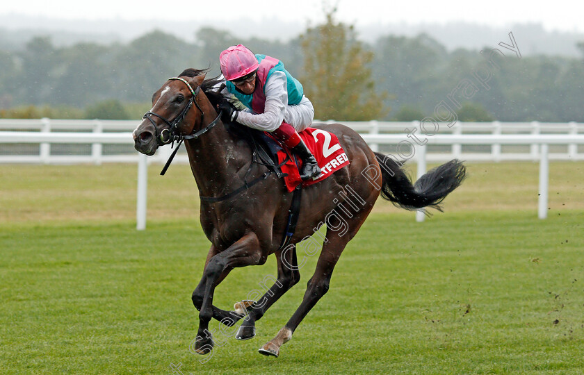 Tsar-0002 
 TSAR (Frankie Dettori) wins The Betfred Nifty Fifty Handicap
Ascot 25 Jul 2020 - Pic Steven Cargill / Racingfotos.com