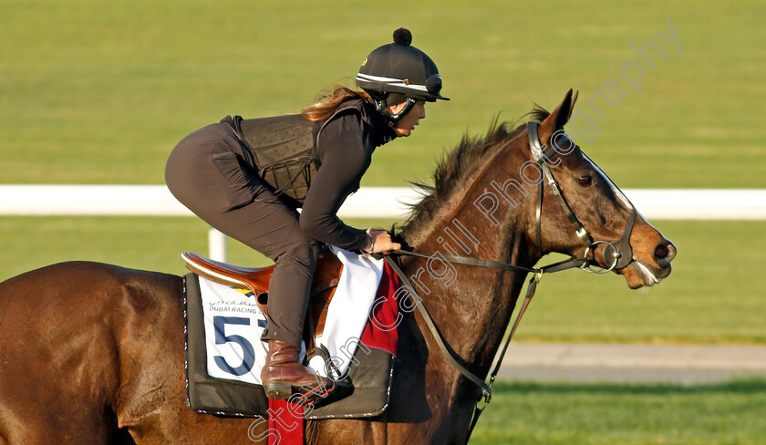 Onesmoothoperator-0002 
 ONESMOOTHOPERATOR training at the Dubai Racing Carnival
Meydan 22 Jan 2025 - Pic Steven Cargill / Racingfotos.com