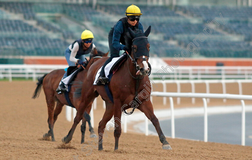 Onigiri-0002 
 ONIGIRI training at the Dubai Racing Carnival
Meydan 4 Jan 2024 - Pic Steven Cargill / Racingfotos.com