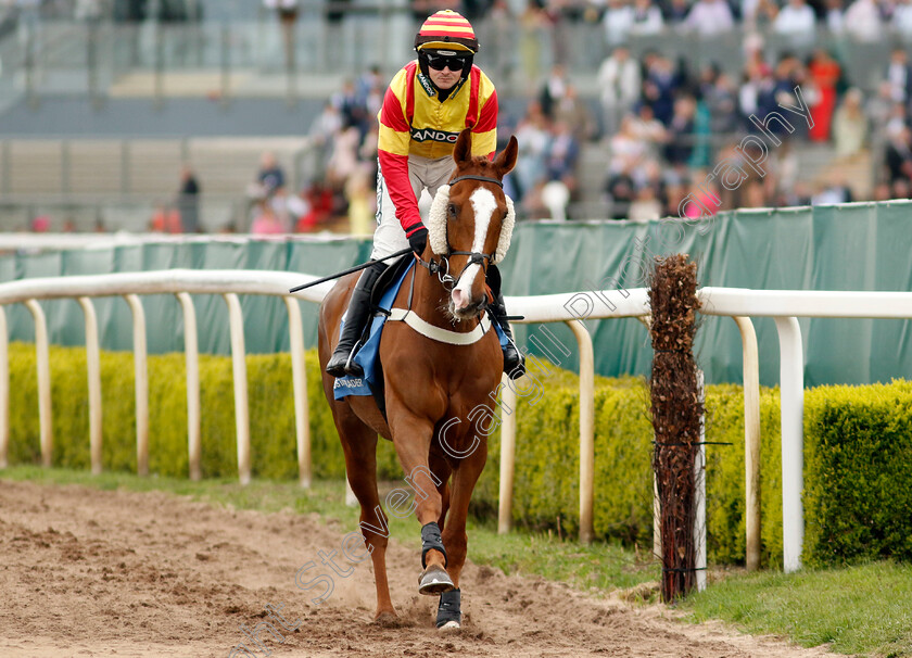 Lookaway-0001 
 LOOKAWAY (Jack Quinlan)
Aintree 12 Apr 2024 - Pic Steven Cargill / Racingfotos.com