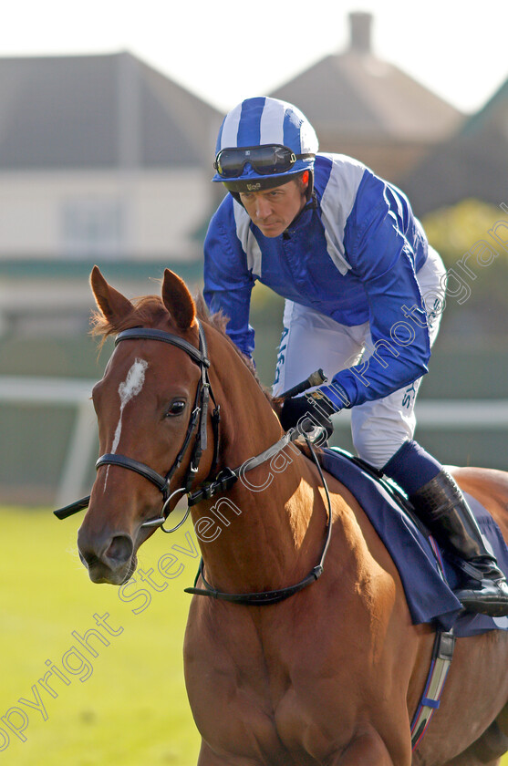 Hanaady-0002 
 HANAADY (Jim Crowley)
Yarmouth 19 Oct 2021 - Pic Steven Cargill / Racingfotos.com