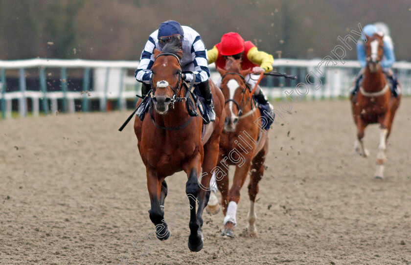 El-Ghazwani-0003 
 EL GHAZWANI (James Doyle) wins The Betway Handicap
Lingfield 18 Dec 2019 - Pic Steven Cargill / Racingfotos.com