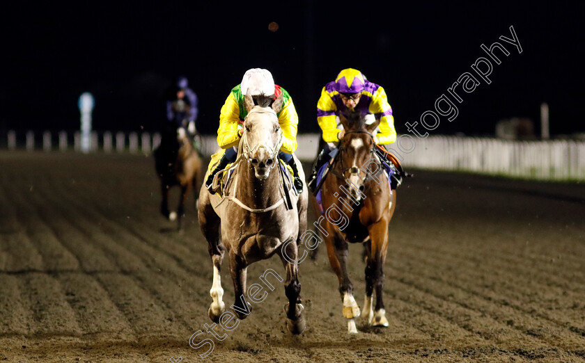 Champagne-Prince-0002 
 CHAMPAGNE PRINCE (William Buick) wins The Unibet Wild Flower Stakes
Kempton 11 Dec 2024 - Pic Steven Cargill / Racingfotos.com