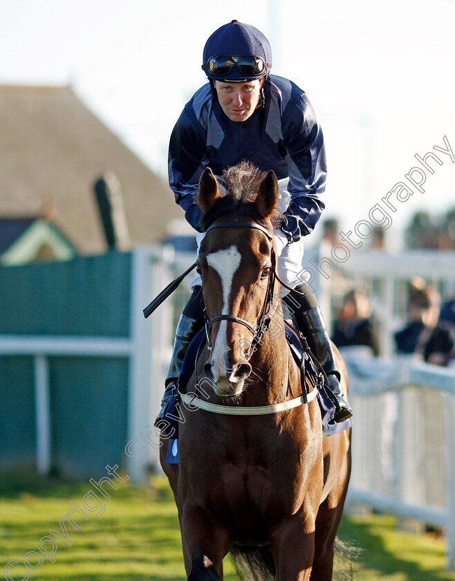 Soleil-Blanc-0001 
 SOLEIL BLANC (Pat Cosgrave)
Yarmouth 18 Oct 2022 - Pic Steven Cargill / Racingfotos.com