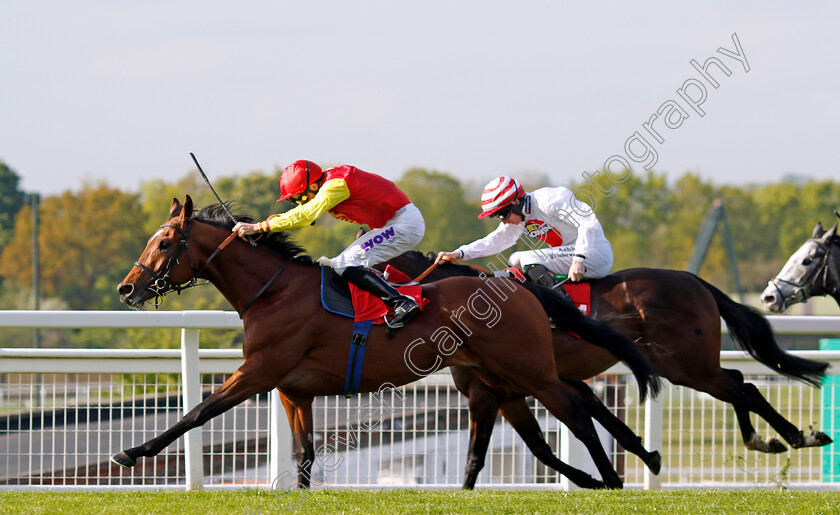 Goodwood-Odyssey-0002 
 GOODWOOD ODYSSEY (Kieran Shoemark) wins The Nordoff & Robbins Judy Martin Memorial Handicap
Sandown 26 Apr 2024 - Pic Steven Cargill / Racingfotos.com