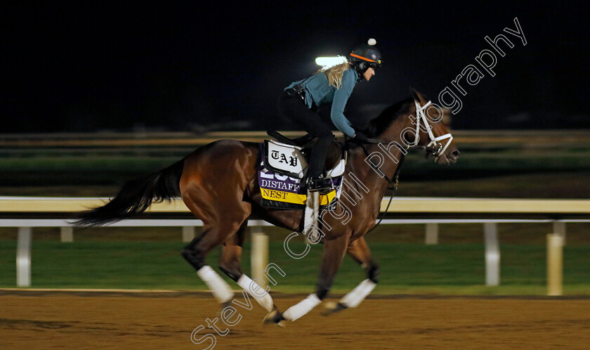 Nest-0002 
 NEST training for the Breeders' Cup Distaff
Keeneland USA 1 Nov 2022 - Pic Steven Cargill / Racingfotos.com