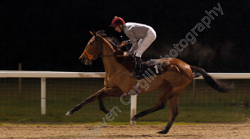 Al-Dawodiya-0001 
 AL DAWODIYA (James Doyle)
Chelmsford 25 Nov 2019 - Pic Steven Cargill / Racingfotos.com