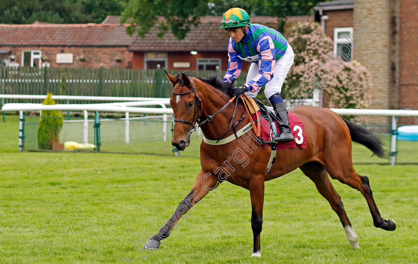 Extra-Beat-0005 
 EXTRA BEAT (Jim Crowley) winner of The Betfred Nifty 50 Handicap
Haydock 24 May 2024 - Pic Steven Cargill / Racingfotos.com