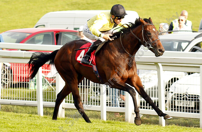 Indian-Creak-0003 
 INDIAN CREAK (Pat Dobbs) wins The British Stallion Studs EBF Median Auction Maiden Stakes
Epsom 4 Jul 2019 - Pic Steven Cargill / Racingfotos.com