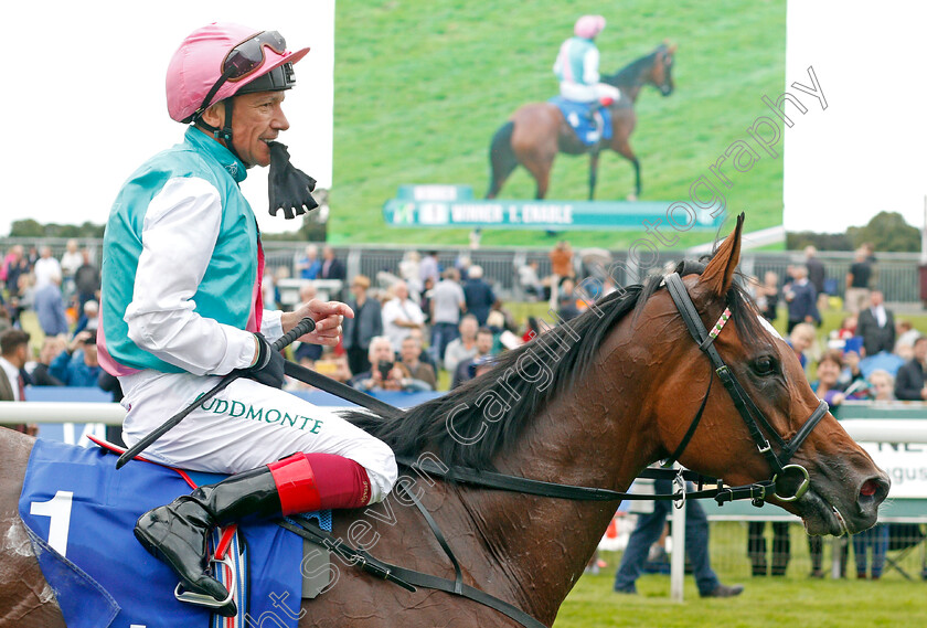 Enable-0012 
 ENABLE (Frankie Dettori) after The Darley Yorkshire Oaks
York 22 Aug 2019 - Pic Steven Cargill / Racingfotos.com