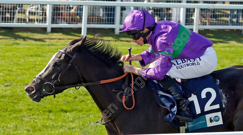 Ville-De-Grace-0007 
 VILLE DE GRACE (Ryan Moore) wins The EBF Stallions John Musker Fillies Stakes
Yarmouth 15 Sep 2021 - Pic Steven Cargill / Racingfotos.com