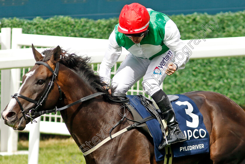 Pyledriver-0014 
 PYLEDRIVER (P J McDonald) wins The King George VI & Queen Elizabeth Qipco Stakes
Ascot 23 Jul 2022 - Pic Steven Cargill / Racingfotos.com