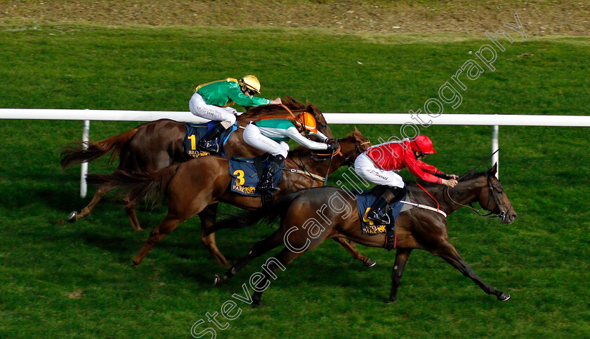 Dardenne-0006 
 DARDENNE (Jan Erik Neuroth) wins The Breeders Trophy Sprint
Bro Park, Sweden 21 Sep 2018 - Pic Steven Cargill / Racingfotos.com