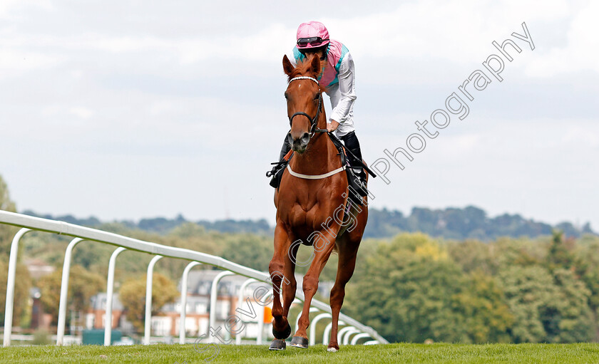 Quadrilateral-0001 
 QUADRILATERAL (Ryan Moore)
Sandown 23 Aug 2020 - Pic Steven Cargill / Racingfotos.com