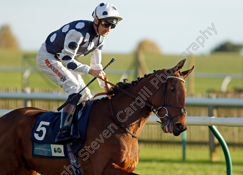 Later-Darling 
 LATER DARLING (Dougie Costello)
Newmarket 20 Oct 2021 - Pic Steven Cargill / Racingfotos.com