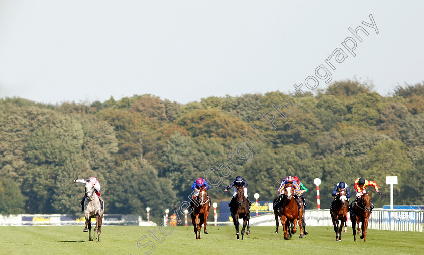 Logician-0009 
 LOGICIAN (left, Frankie Dettori) beats SIR RON PRIESTLEY (right) and NAYEF ROAD (centre) in The William Hill St Leger Stakes
Doncaster 14 Sep 2019 - Pic Steven Cargill / Racingfotos.com