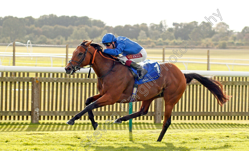 Benbatl-0002 
 BENBATL (Oisin Murphy) wins The Shadwell Joel Stakes
Newmarket 27 Sep 2019 - Pic Steven Cargill / Racingfotos.com