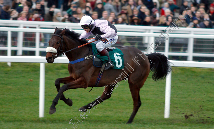 Glory-And-Fortune-0005 
 GLORY AND FORTUNE (Richard Johnson) wins The EBF Stallions & Cheltenham Pony Club Standard Open National Hunt Flat Race
Cheltenham 1 Jan 2019 - Pic Steven Cargill / Racingfotos.com