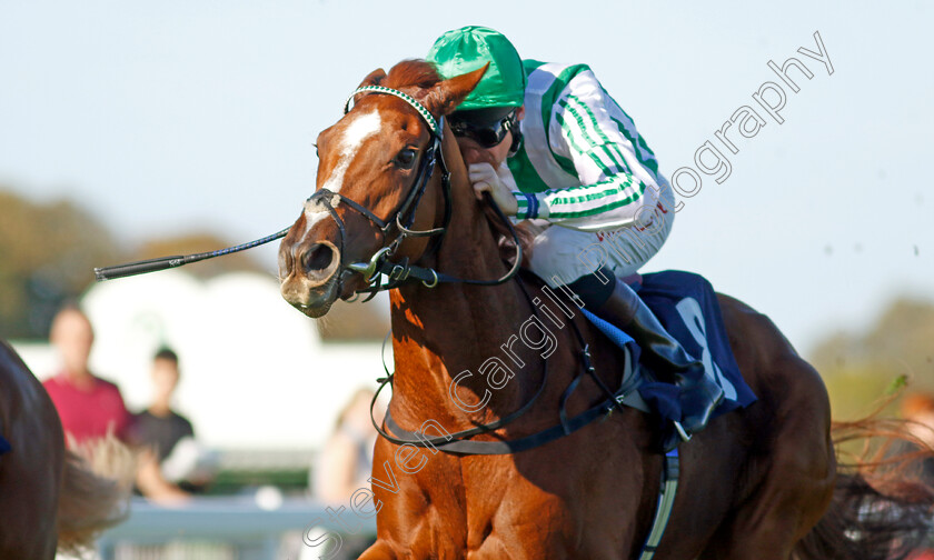 Sunbelt-0001 
 SUNBELT (Robert Havlin) wins The British Stallion Studs EBF Fillies Novice Stakes Div2
Yarmouth 18 Oct 2022 - Pic Steven Cargill / Racingfotos.com