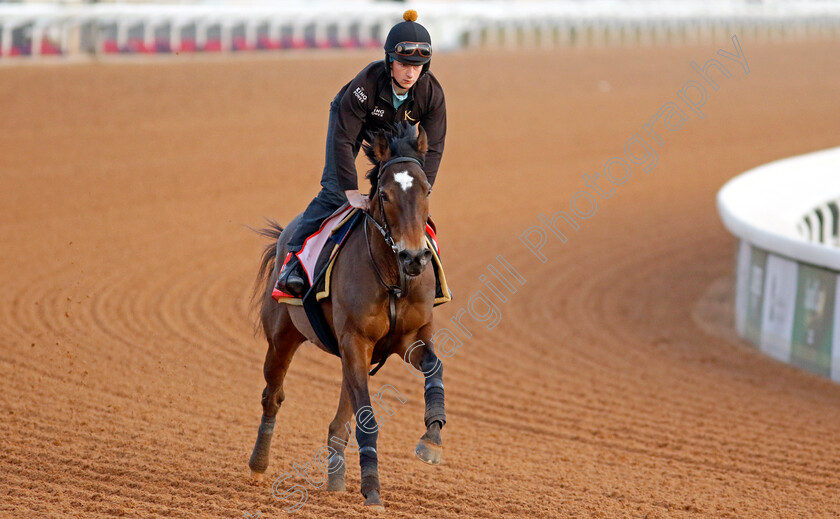 Nate-The-Great-0001 
 NATE THE GREAT training for The Red Sea Turf Handicap
King Abdulaziz Racecourse, Kingdom of Saudi Arabia, 22 Feb 2023 - Pic Steven Cargill / Racingfotos.com