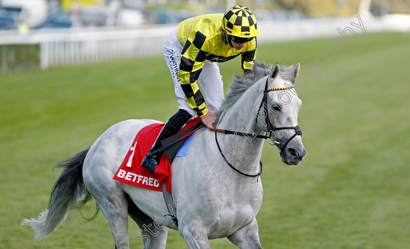 Shadow-Dance-0001 
 SHADOW DANCE (James Doyle)
Doncaster 13 Sep 2024 - Pic Steven Cargill / Racingfotos.com