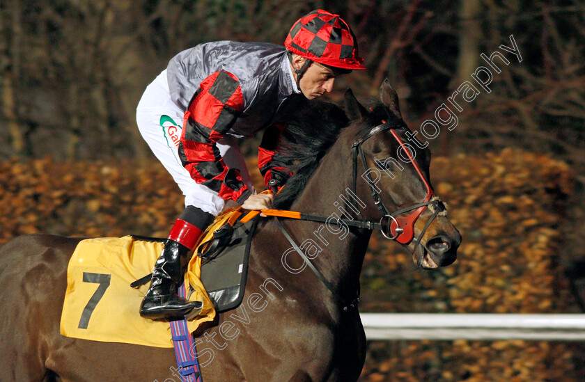 Mutara 
 MUTARA (Shane Kelly)
Kempton 2 Mar 2022 - Pic Steven Cargill / Racingfotos.com