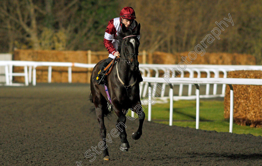 Luna-Magic 
 LUNA MAGIC (Adam McNamara)
Kempton 16 Feb 2022 - Pic Steven Cargill / Racingfotos.com