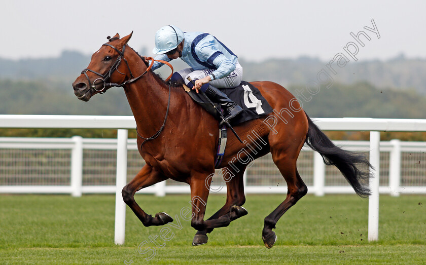 Recovery-Run-0004 
 RECOVERY RUN (David Probert) wins The Victoria Racing Club Handicap
Ascot 3 Sep 2021 - Pic Steven Cargill / Racingfotos.com