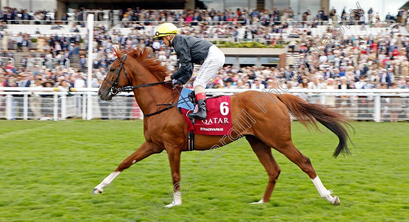 Stradivarius-0001 
 STRADIVARIUS (Andrea Atzeni) before finishing second in The Al Shaqab Goodwood Cup
Goodwood 26 Jul 2022 - Pic Steven Cargill / Racingfotos.com