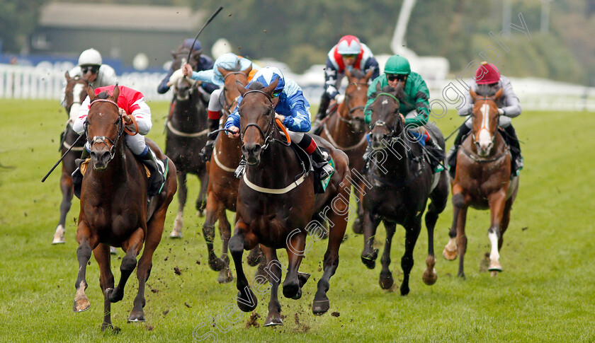 Kynren-0005 
 KYNREN (right, Ben Curtis) beats GREENSIDE (left) in The bet365 Challenge Cup 
Ascot 5 Oct 2019 - Pic Steven Cargill / Racingfotos.com