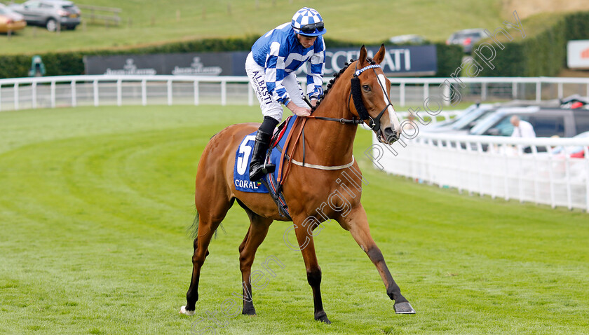 Soto-Sizzler-0001 
 SOTO SIZZLER (Ryan Moore)
Goodwood 1 Aug 2023 - Pic Steven Cargill / Racingfotos.com