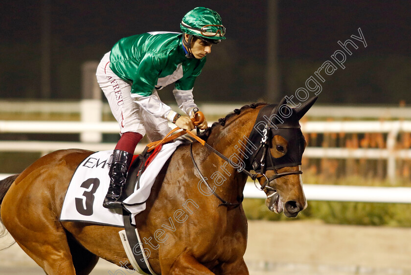 In-Time-0002 
 IN TIME (Antonio Fresu)
Meydan 3 Feb 2023 - Pic Steven Cargill / Racingfotos.com