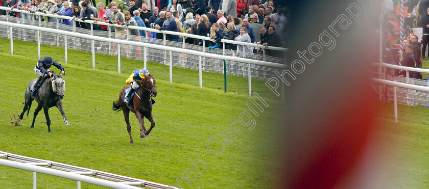 Poet s-Dawn-0002 
 POET'S DAWN (David Allan) wins The ICE COo Supporting Macmillan Handicap
York 15 Jun 2019 - Pic Steven Cargill / Racingfotos.com