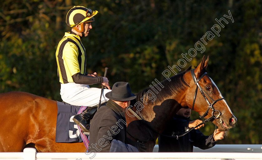 Al-Agaila-0006 
 AL AGAILA (James Doyle) winner of The Talksport Winter Oaks Fillies Handicap
Lingfield 21 Jan 2023 - Pic Steven Cargill / Racingfotos.com