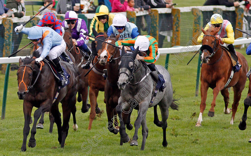 Gangland-0001 
 GANGLAND (centre, David Nolan) beats ZABALETASWANSONG (left) in The Dennis The Sailor Barrett Nursery Yarmouth 24 Oct 2017 - Pic Steven Cargill / Racingfotos.com