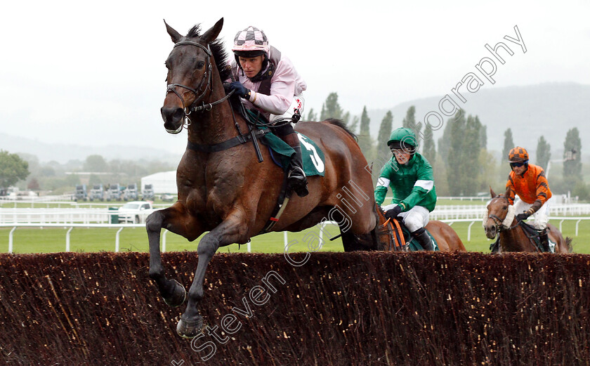 Marcle-Ridge-0005 
 MARCLE RIDGE (Sam Jukes) wins The KTDA Racing Open Hunters Chase
Cheltenham 3 May 2019 - Pic Steven Cargill / Racingfotos.com