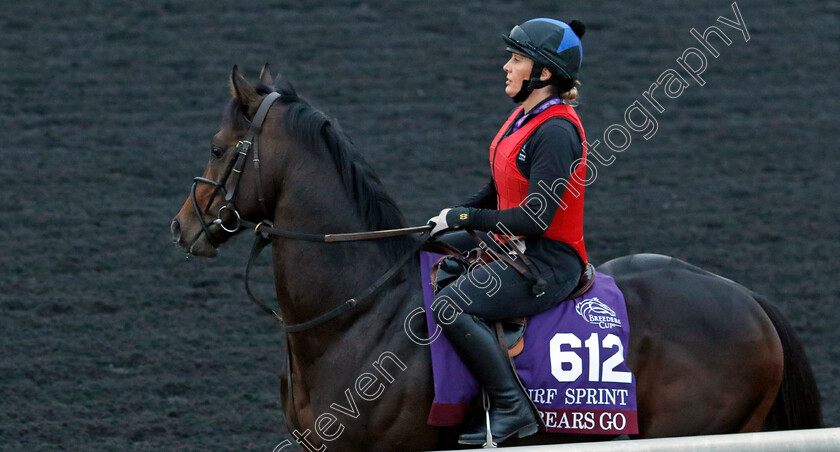 Go-Bears-Go-0003 
 GO BEARS GO training for the Breeders' Cup Turf Sprint
Keeneland USA 1 Nov 2022 - Pic Steven Cargill / Racingfotos.com