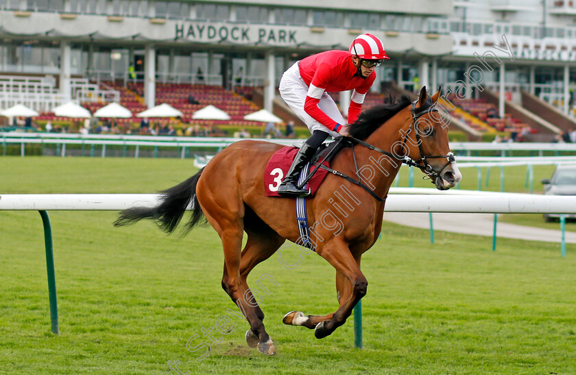 Al-Saariyah-0001 
 AL SAARIYAH (James Doyle)
Haydock 28 May 2021 - Pic Steven Cargill / Racingfotos.com