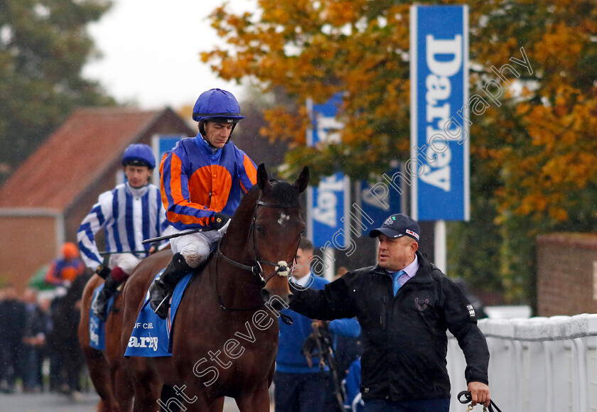 Rock-Of-Cashel-0002 
 ROCK OF CASHEL (Wayne Lordan)
Newmarket 12 Oct 2024 - Pic Steven Cargill / Racingfotos.com