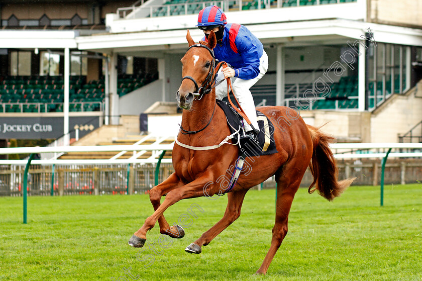 Fragrant-Storm-0001 
 FRAGRANT STORM (Richard Kingscote)
Newmarket 21 Oct 2020 - Pic Steven Cargill / Racingfotos.com