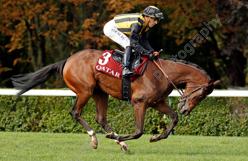 Times-Square-0002 
 TIMES SQUARE (Cristian Demuro)
Longchamp 3 Oct 2021 - Pic Steven Cargill / Racingfotos.com