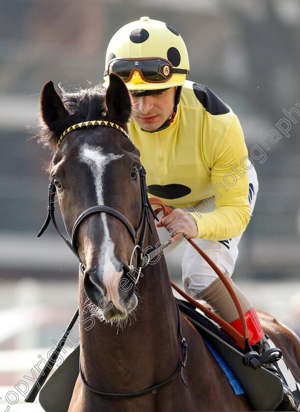 Fifth-Position-0001 
 FIFTH POSITION (Andrea Atzeni)
Newbury 13 Apr 2019 - Pic Steven Cargill / Racingfotos.com