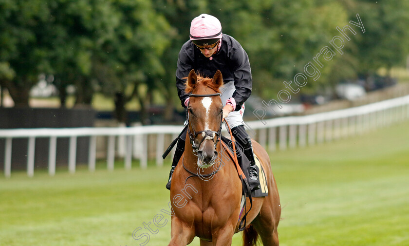 Folk-Star-0002 
 FOLK STAR (Tom Marquand)
Newmarket 30 Jun 2023 - Pic Steven Cargill / Racingfotos.com