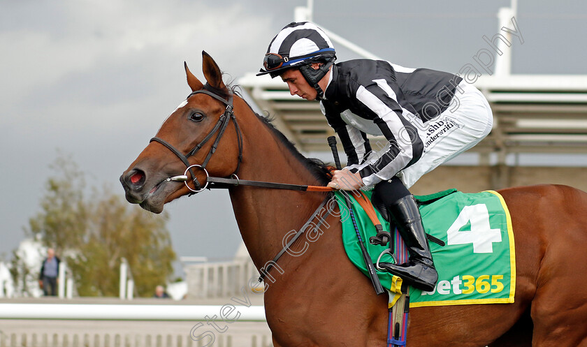 Classical-Song-0002 
 CLASSICAL SONG (Rossa Ryan)
Newmarket 13 Oct 2023 - Pic Steven Cargill / Racingfotos.com