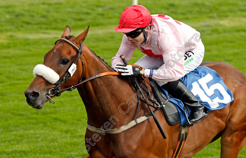 Arcadian-Sunrise-0003 
 ARCADIAN SUNRISE (Jamie Spencer) wins The Sky Bet Handicap 
York 18 Aug 2021 - Pic Steven Cargill / Racingfotos.com